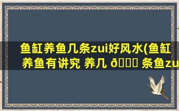 鱼缸养鱼几条zui
好风水(鱼缸养鱼有讲究 养几 🐎 条鱼zui
佳呢)